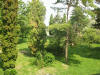 zelen� are�l �koly